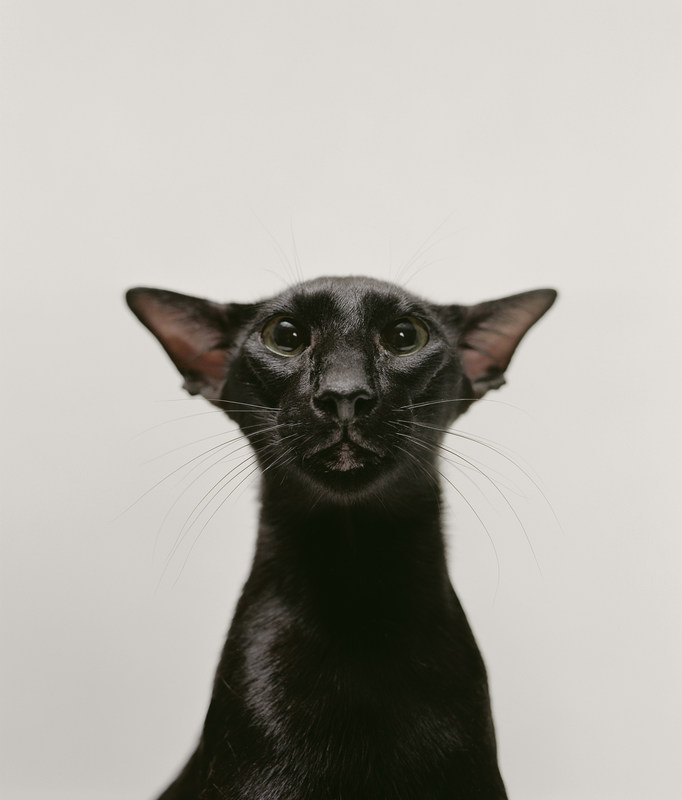 imgThree